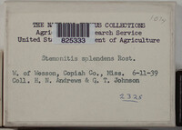 Stemonitis splendens image